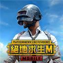 PUBG MOBILE臺(tái)服