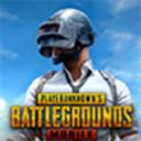 pubg國際服手游正版